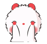 engraçado, pfeiffer bear, coelho branco, foto de kawai, tuagom puffy bear