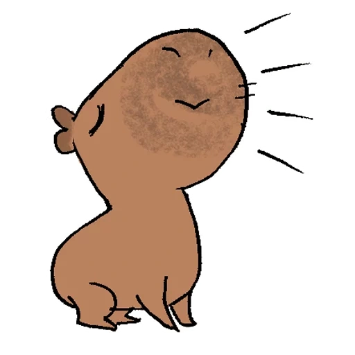 chat, capybara, capibara est chère, dessin capybara, kapibara est kawaii