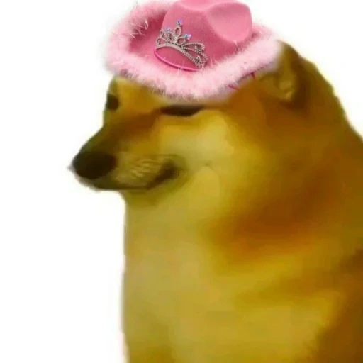 meme doge, a meme with a dog, cheems on the side, meme doge pizza, emoji twich discord gg