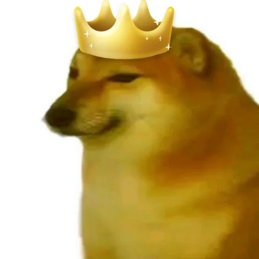 molde de perro chai, lado chems, molde de perro chai, perro lanzando el meme, joka boka cheems doge