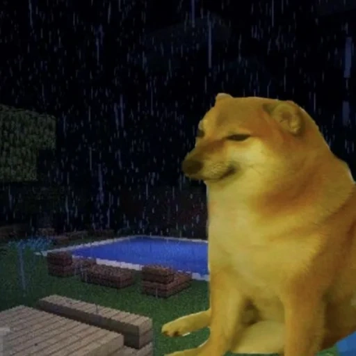 doggo, scp-087, meme del cane, cane triste, shiba inu meme