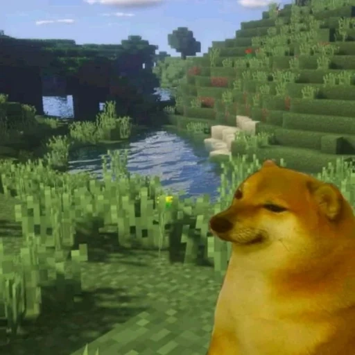 fernando, twitch.tv, chillwcat, minecraft dog, doge minecraft