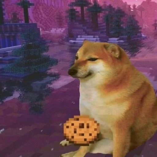 doge, twitch.tv, ужасные мемы, minecraft dog, cheems doge meme birthday