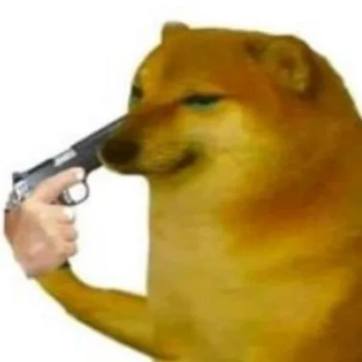 camerofone, um meme com um cachorro, doge com uma arma, meme de dã dumer, o cachorro com uma pistola
