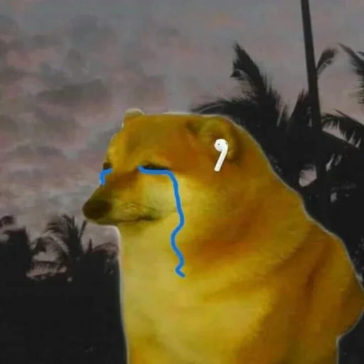 cheems, doge meme, sasha rybak, tiktok viral, lados da alojamento cheems doge