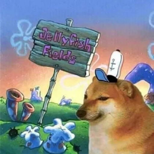 cane, doge riccardo, un cane allegro, jerry fish fields, spongebob jellyfish field