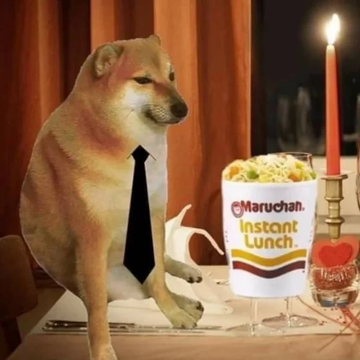 doge, mèmes de chien, les chiens sont drôles, shiba inu meme, mème assis de chien de bois