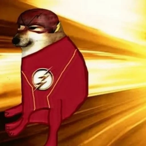 garçons, gracioso, doge meme, aide les mèmes, mème de super-héros flash