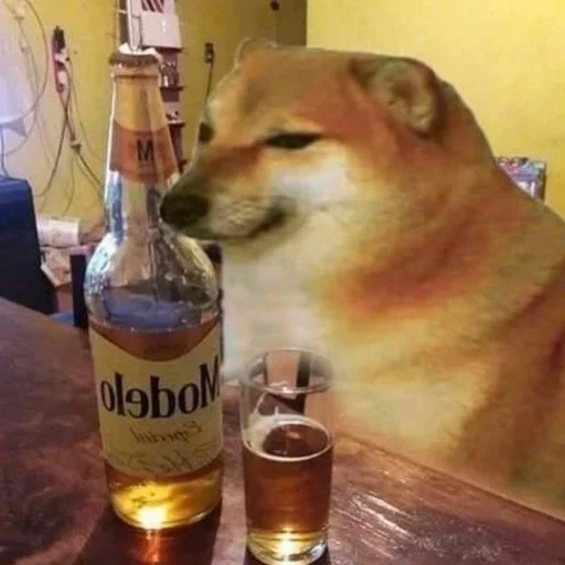 doge, собака, собака мем, i just wanna, мем сиба ину