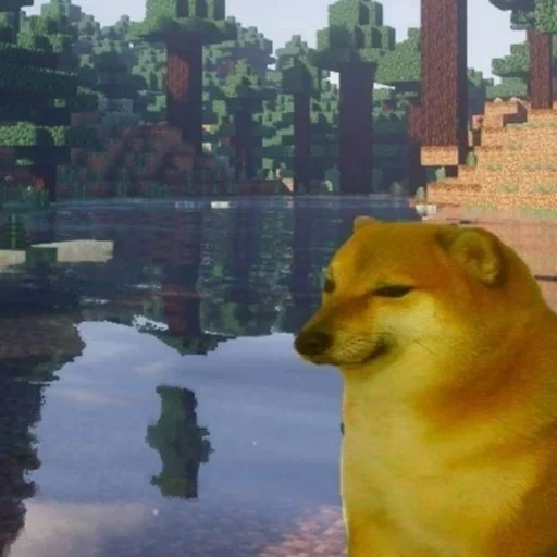 chiot, meme doge, dog maincraft, esthétique de beauté de rêve, chien minecrafte au coucher du soleil