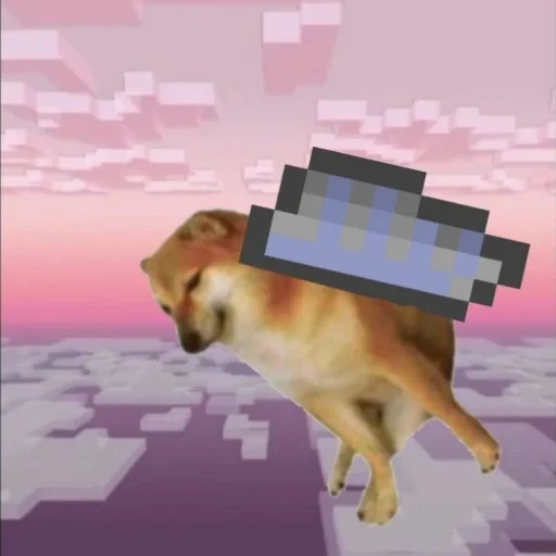 anjing, anjing minecraft, anjing, hewan minecraft, dogi mem minecraft