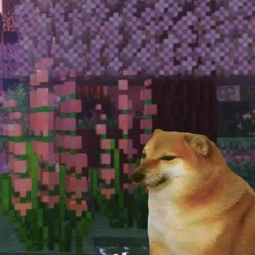 background minecraft, minecraft dog, minecraft at home, aesthetics landscape, minecraft aesthetics