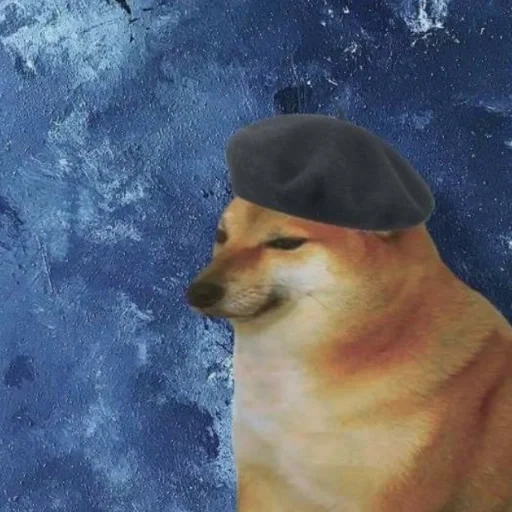 doge, sistem, meme doge, doge menangis, cheems asli