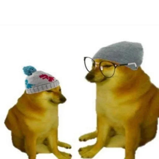 meme, shiba inu, dogwifhatgang, mème de swing de chien, cheems gif dog