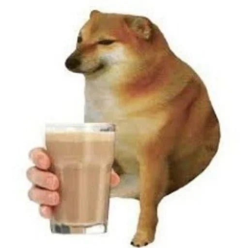 chai dog, chai dog, die meme des hundes, das dog meme, chai dou meme