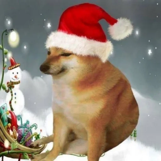 shiba inu, día de año nuevo, perro perro, perro de año nuevo, año nuevo de tres fotógrafos de perros