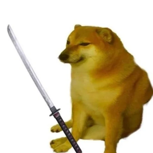 siba inu, siba iu meme, shiba é um meme, um meme de um cachorro de siba, modelo de arremesso de meme doge