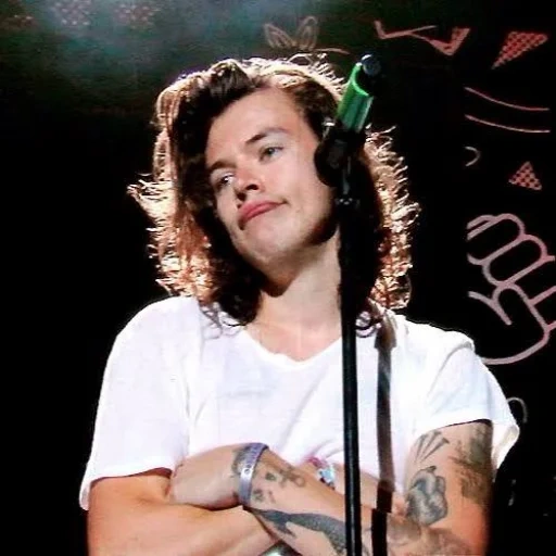 гарри стайлс, луи томлинсон, гарри стайлс мем, one direction гарри, harry styles prince hair