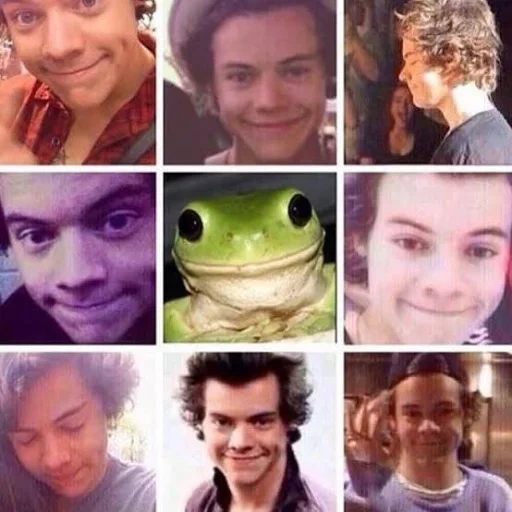 гарри стайлс, луи томлинсон, harry styles frog, гарри стайлс селфи, ларри стайлинсон поцелуй