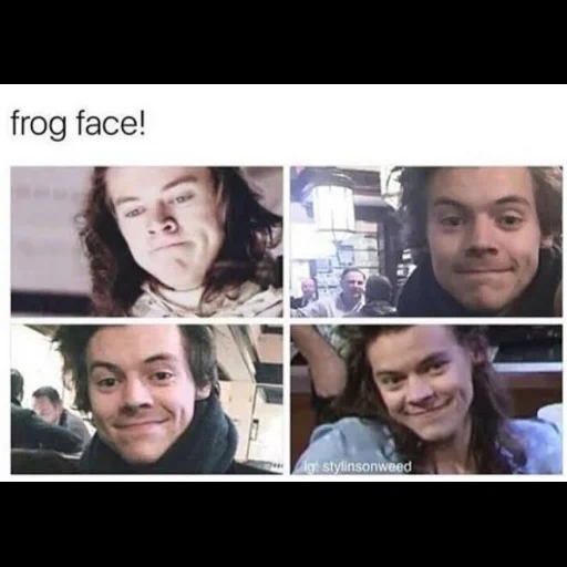 гарри стайлс, harry styles frog, harry styles selfie, вилле вало гарри стайлс, гарри стайлс фанатами 2019