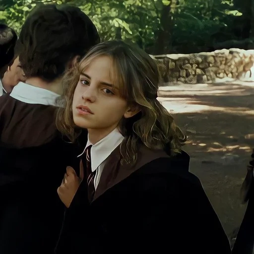 harry hermione, witch 11 series, hermione granger, hermione's harry potter, hermione granger's harry potter