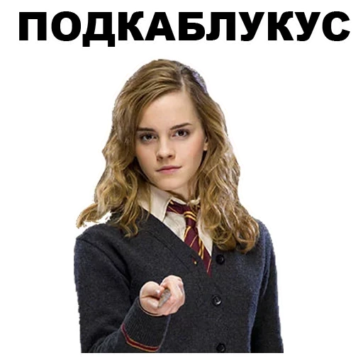 harry potter, hermione granger, harry potter d'hermione, harry potter par hermione granger