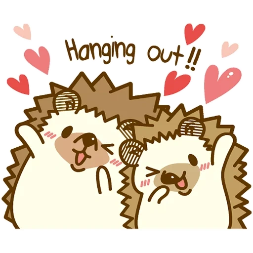 hedgehog, hedgehog is cute, kavai the hedgehog, hedgehogs are cute