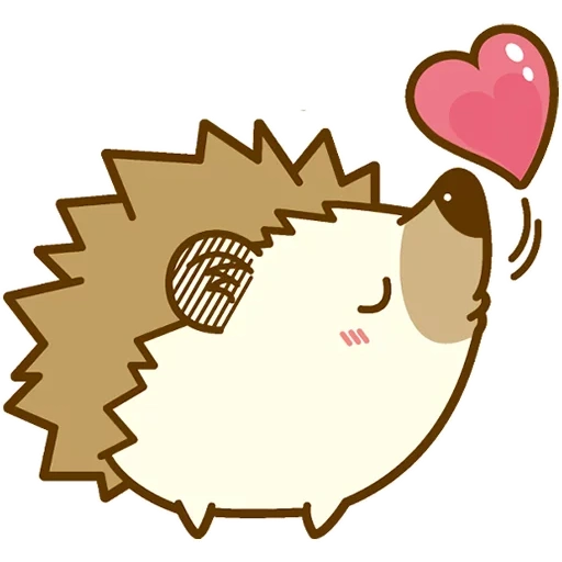 ouriço, hedgehog kawai, caro ouriço, os ouriços são fofos, kawaii hedgehogs