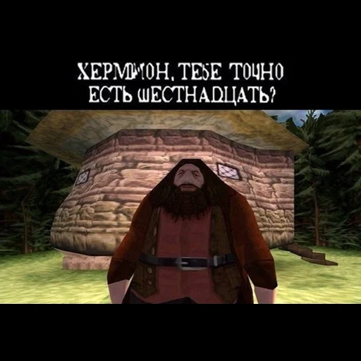 hagrid luruus, jeu harry potter, harry potter hagrid, harry potter game hagrid, harry potter philosophal stone