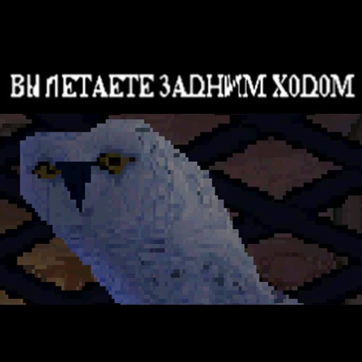 harry potter, harry potter ps 1, гарри поттер перевод, хедвиг ps1 гарри поттер, букля гарри поттер игра