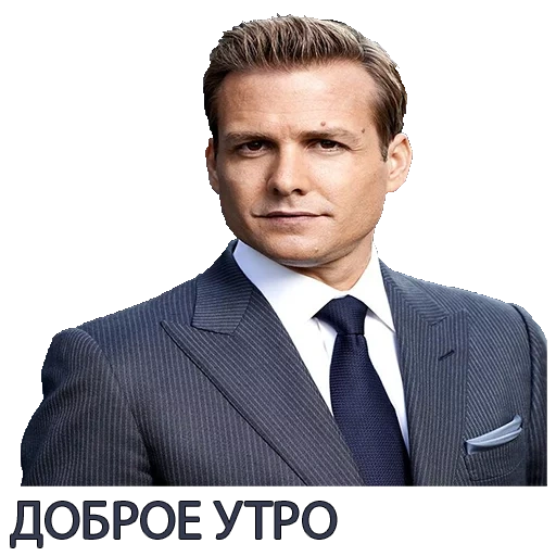 harvey, masculino, harvey specter, harvey reginald specter, harvey specter they home success comes before work