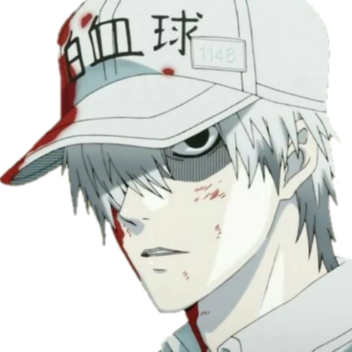 desenhos de anime, hataraku saibou, personagens de anime, hataraku saibou kuna, hataraku saibou u-1146 art girl