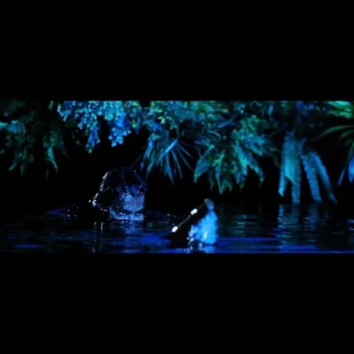 dark, palm sea night, la jungle péruvienne la nuit, liste des victimes de crocodile 2, crocodile 2 liste des victimes film 2002 stills