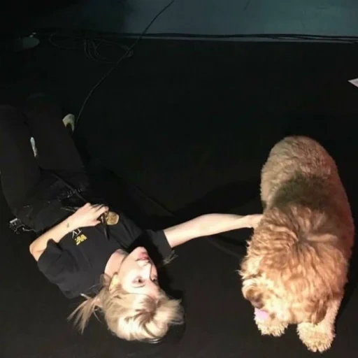 der kater, mensch, hayley williams, riesiger kaninchen, hayley williams mit ihrem hund