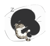 kucing, kucing, yin dan yang cat, grafik kucing, yin dan yang cat