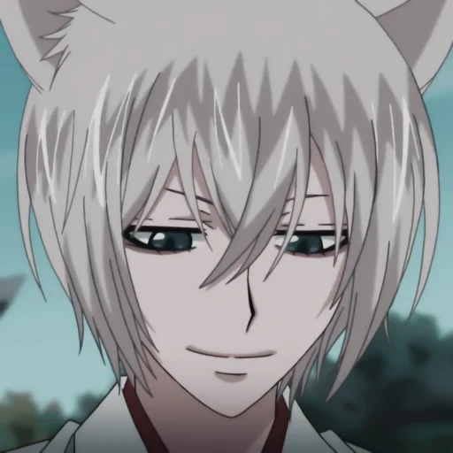 youhe, friends and foxes, tomoe animation, nanami tomohui, youhui is a very likable god