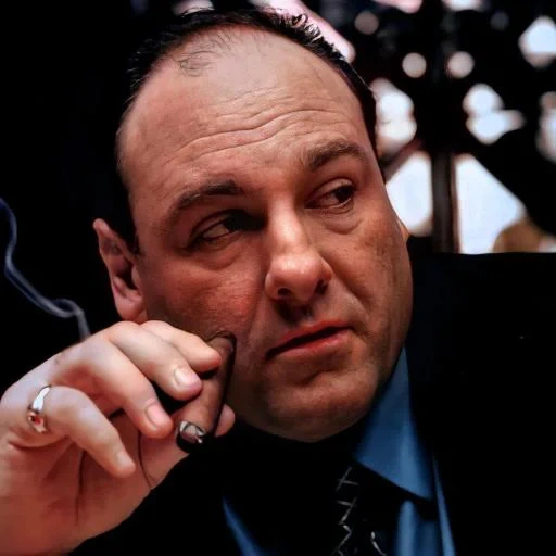 tony soprano, клан сопрано, тони сопрано, anthony abbott, джеймс гандольфини