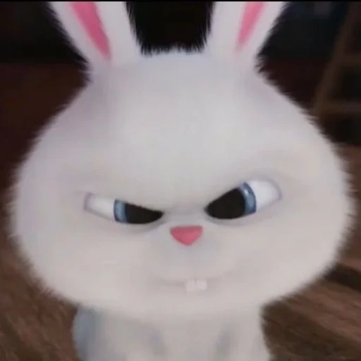 rabbit, dear rabbit, rabbit snowball, little life of pets bunny, little life of pets rabbit