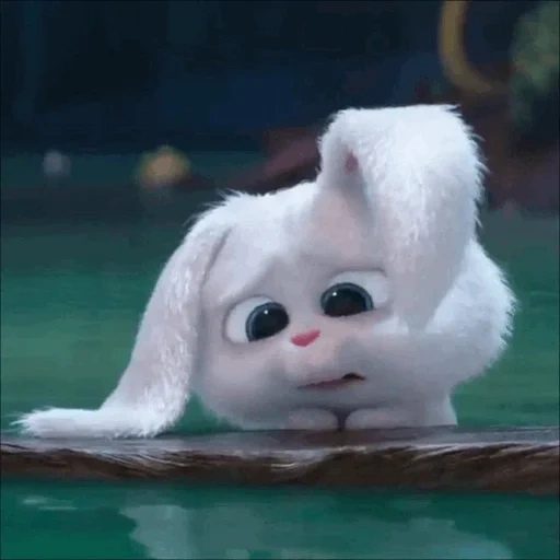 gato, bola de nieve de conejo, dibujos animados sobre el conejito, los animales más lindos, la vida secreta de las mascotas