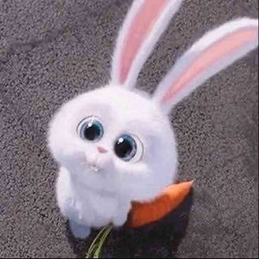 bunnies, bunny asks, rabbit snowball, cheerful rabbit, little life of pets rabbit