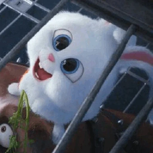 kaninchen schneeball, das kaninchen ist süß, snowstock secret life of the house, das geheime leben der haustiere, letztes leben von haustieren schneeball