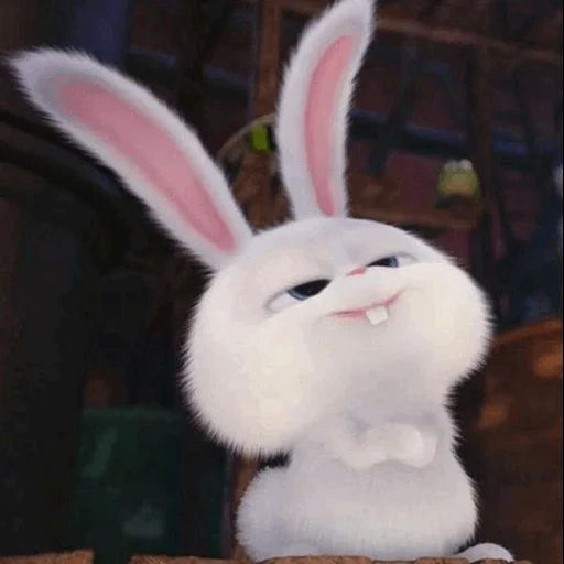 snowball di coniglio, ultima vita di coniglio di casa, little life of pets rabbit, ultima vita di animali domestici snowball