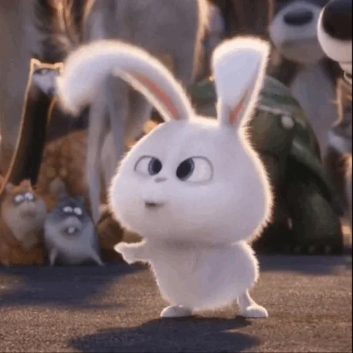 conejo, conejo de bola de nieve, la liebre de la vida secreta, dibujos animados sobre el conejito, última vida del conejo casero