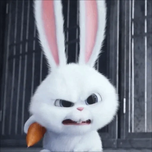 conejo enojado, liebre malvada, bola de nieve de conejo, secret life home rabbit snowball, la vida secreta de las mascotas conejos es la nieve