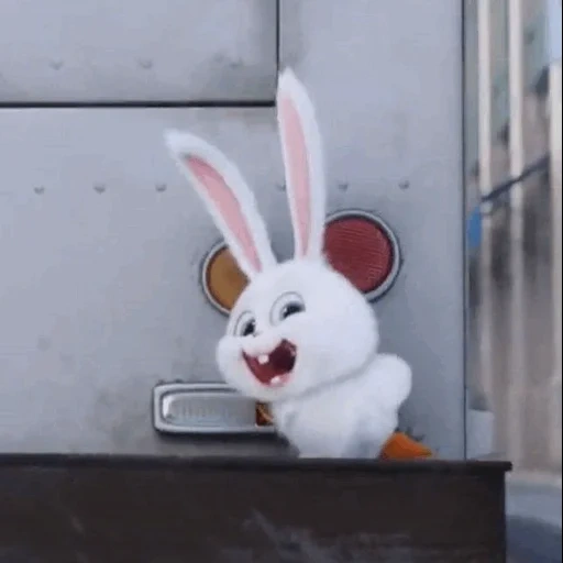 rabbit arrabbiato, snowball di coniglio, il coniglio è divertente, coniglio malvagio, vita segreta degli animali domestici hare snowball