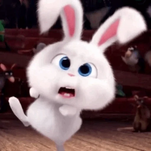 kaninchen schneeball, weißer hasen cartoon geheime leben, das geheime leben der haustiere hase, geheimes leben der haustiere hase snowball, letztes leben von haustieren kaninchen schneeball