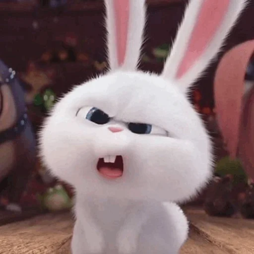 bola salju kelinci, kehidupan rahasia kelinci, kehidupan rahasia hewan peliharaan kelinci, sedikit kehidupan kelinci hewan peliharaan, snowball last life of pets