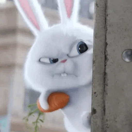 conejo enojado, vida secreta del conejo, pets life rabbit, la vida secreta de las mascotas, triste liebre de la vida secreta de dibujos animados