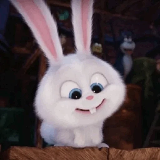 bola de nieve de conejo, el conejo es dulce, cartoon bunny secret life, pequeña vida de mascotas conejo, última vida de mascotas conejo de nieve de conejo