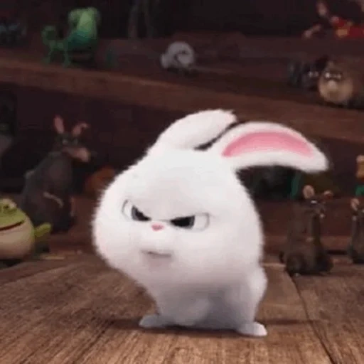 rabbit snowball, the hare of secret life, the secret life of pets, hare secret life of pets, little life of pets rabbit